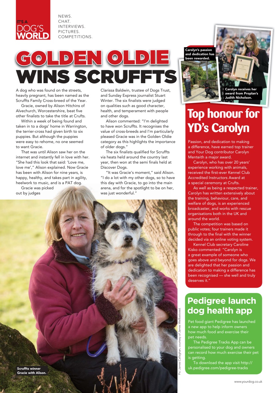 Your Dog Preview Pages