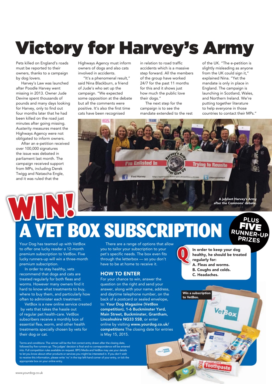 Your Dog Preview Pages