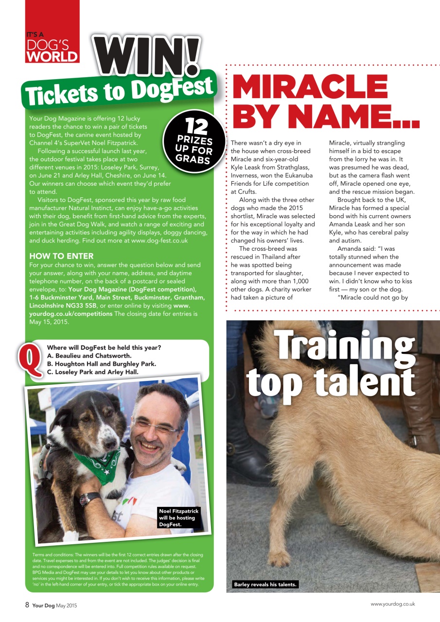 Your Dog Preview Pages
