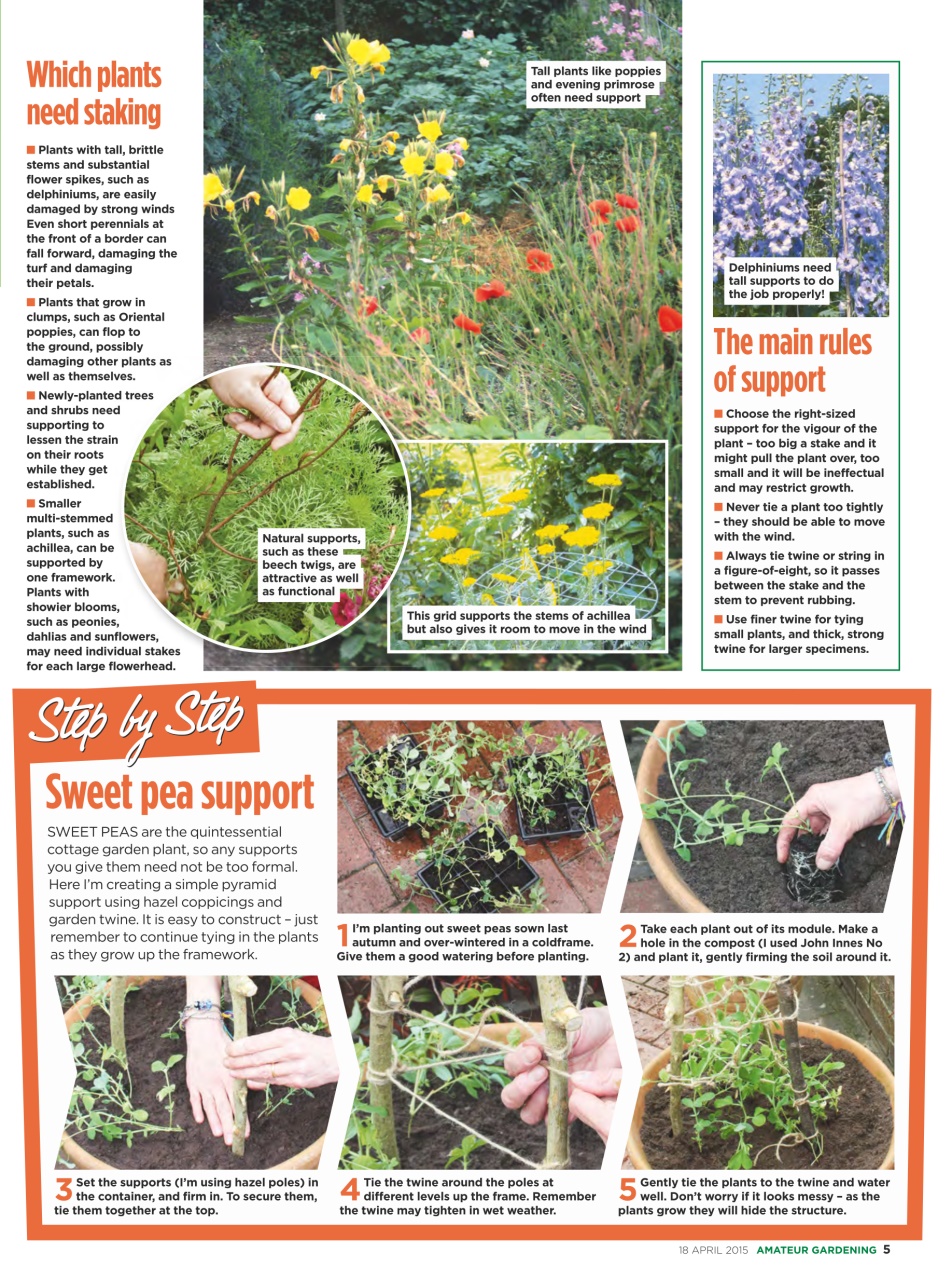 Amateur Gardening Preview Pages