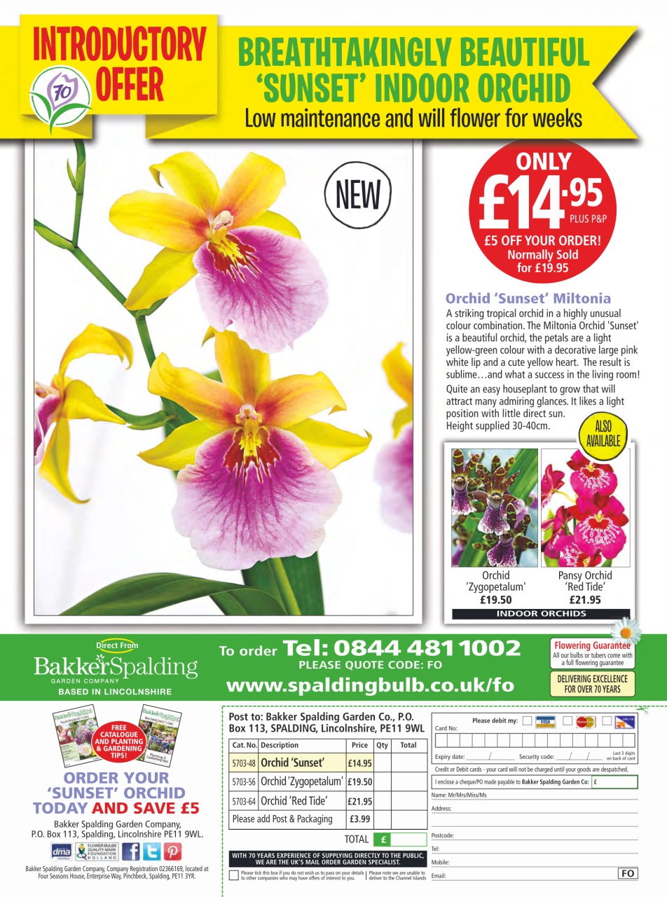 Amateur Gardening Preview Pages