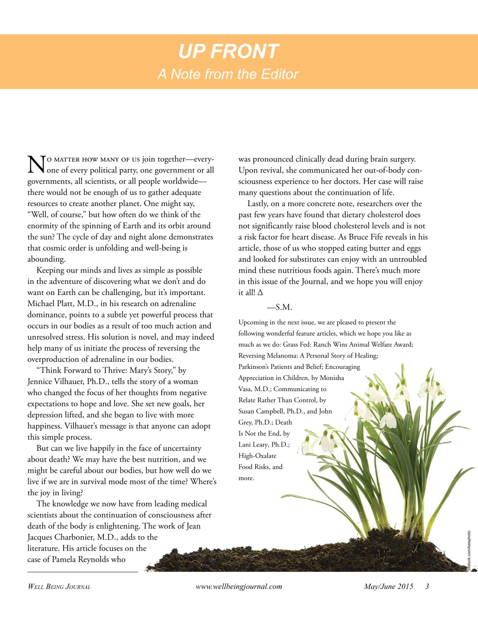 Well Being Journal Preview Pages