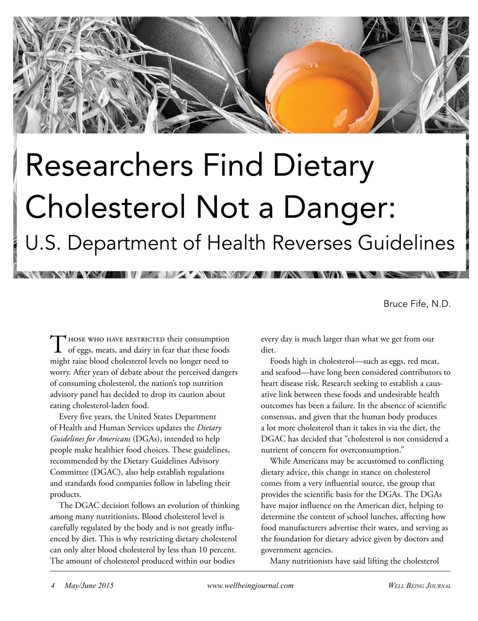 Well Being Journal Preview Pages