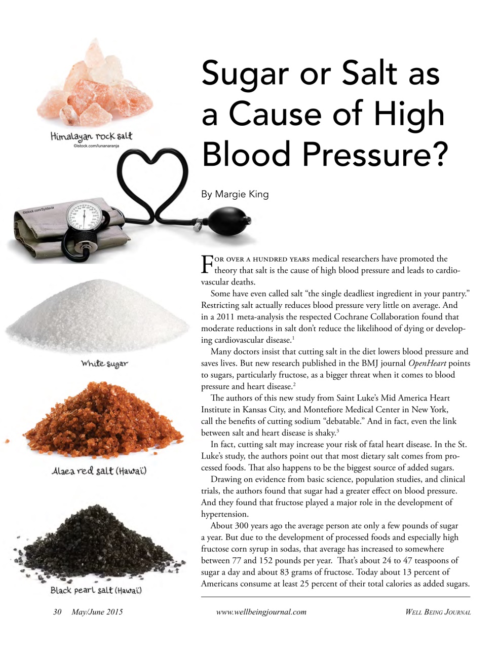 Well Being Journal Preview Pages