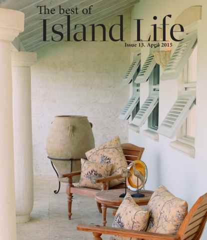 Issue 13 issue Issue 13