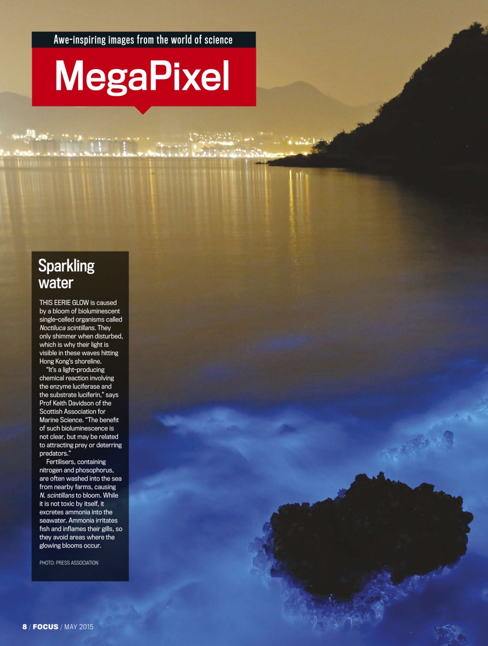 BBC Science Focus Magazine Preview Pages