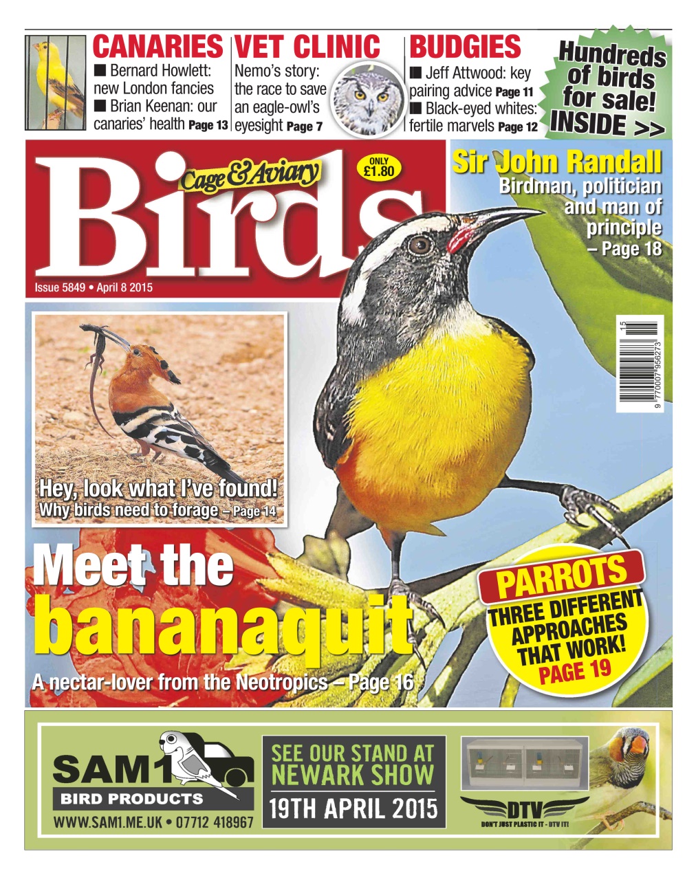 Cage & Aviary Birds Preview Pages