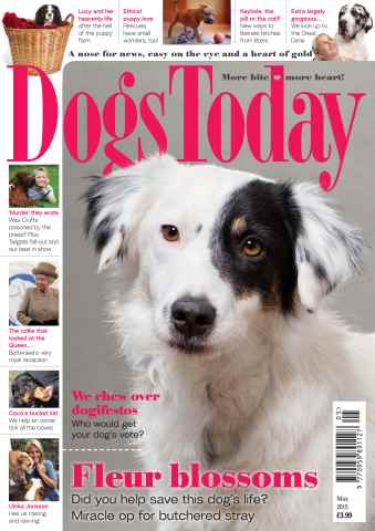 Dogs Today Magazine issue May 2015