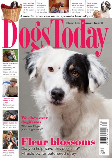 Dogs Today Magazine issue 