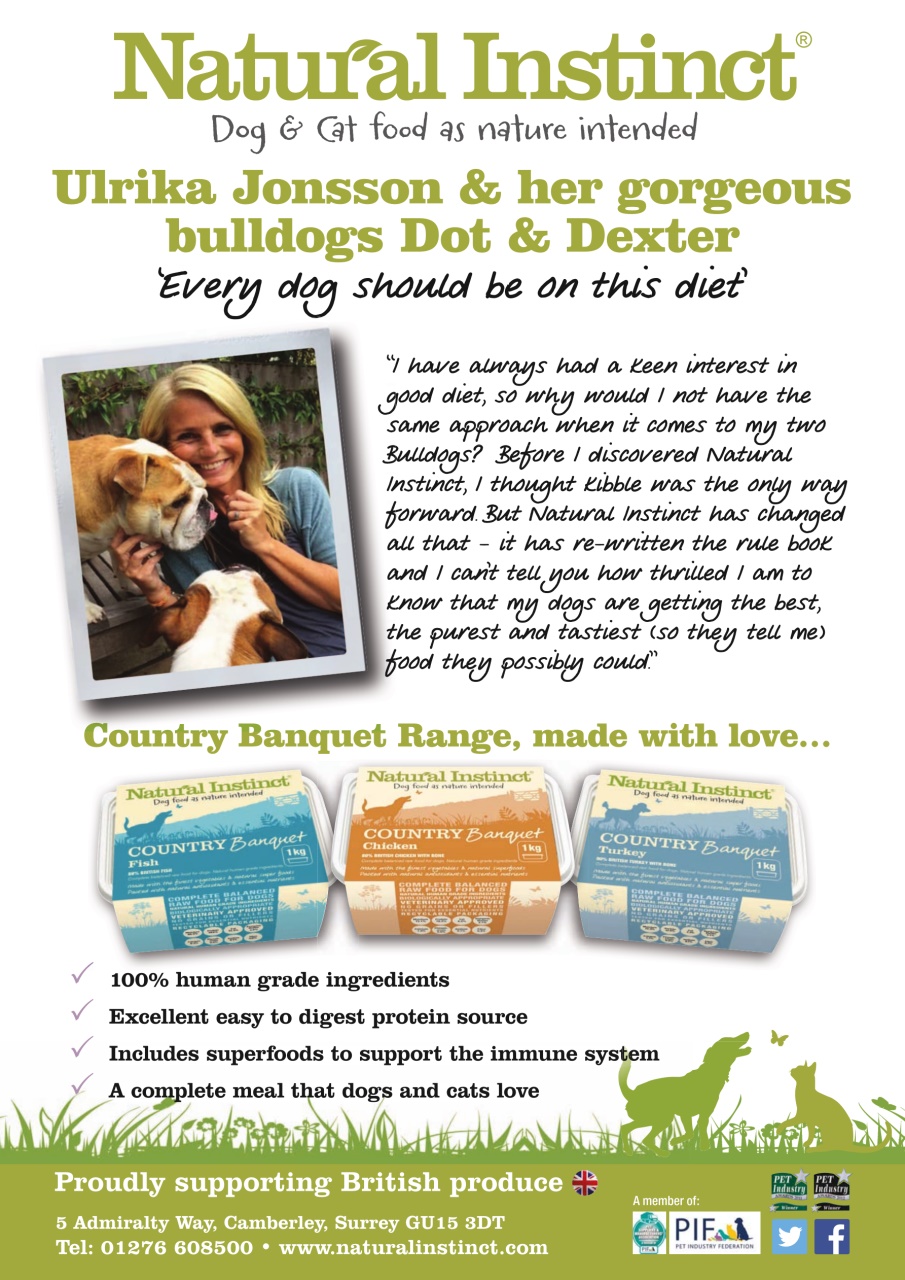 Dogs Today Magazine Preview Pages