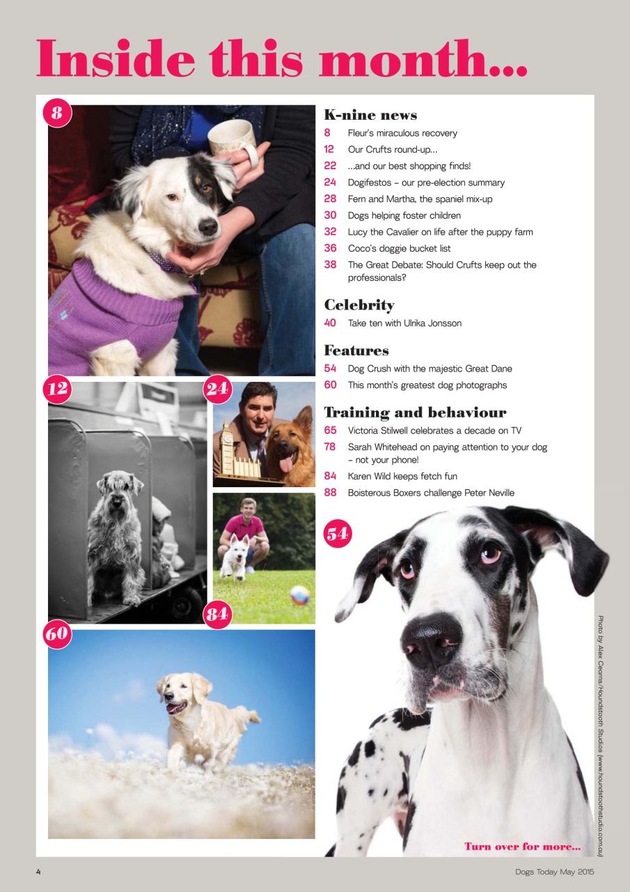 Dogs Today Magazine Preview Pages