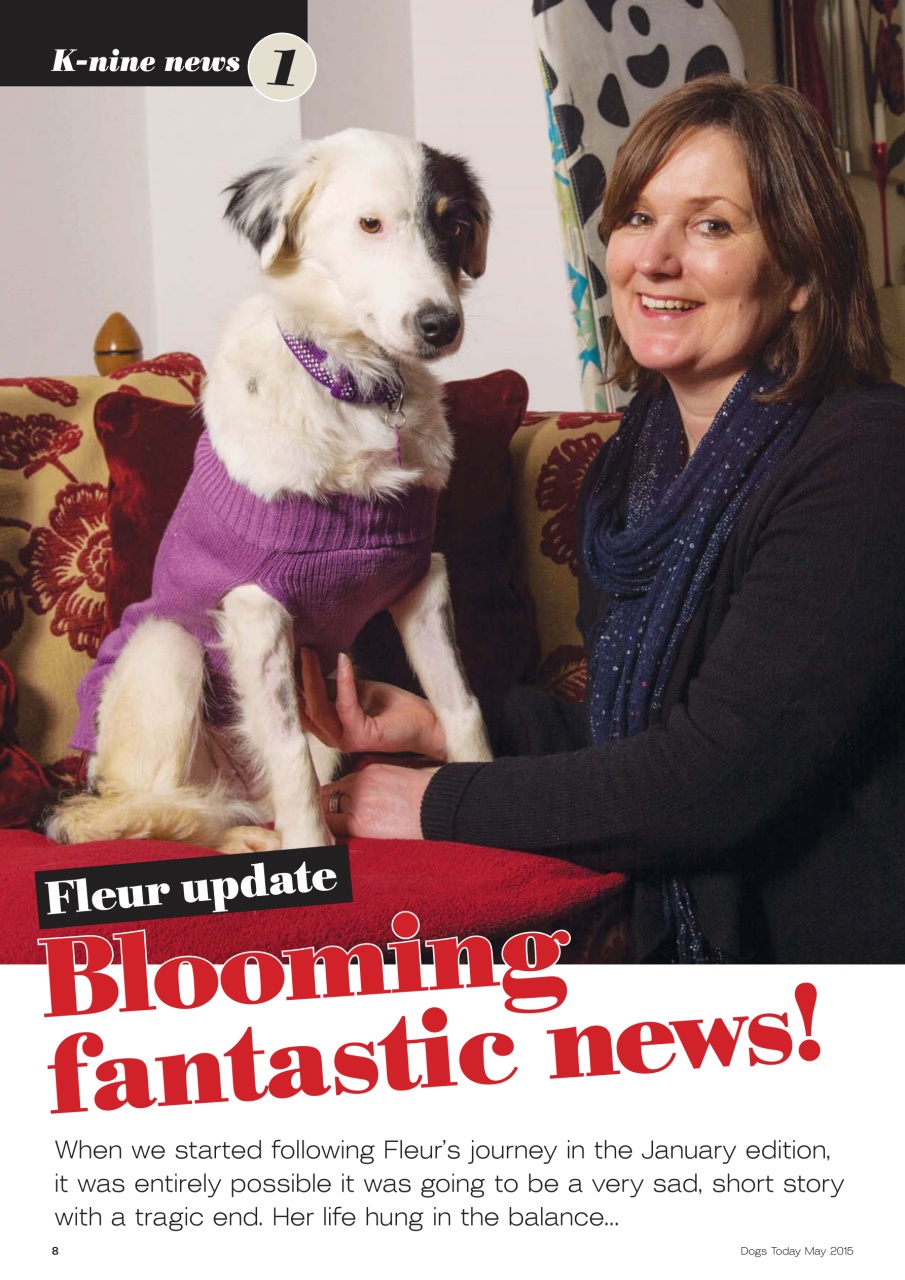 Dogs Today Magazine Preview Pages