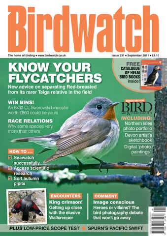 Birdwatch Magazine issue September 2011