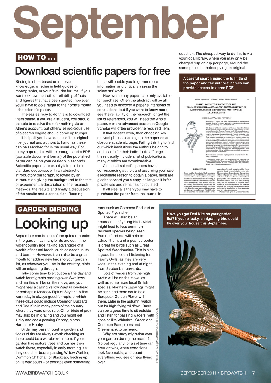 Birdwatch Magazine Preview Pages