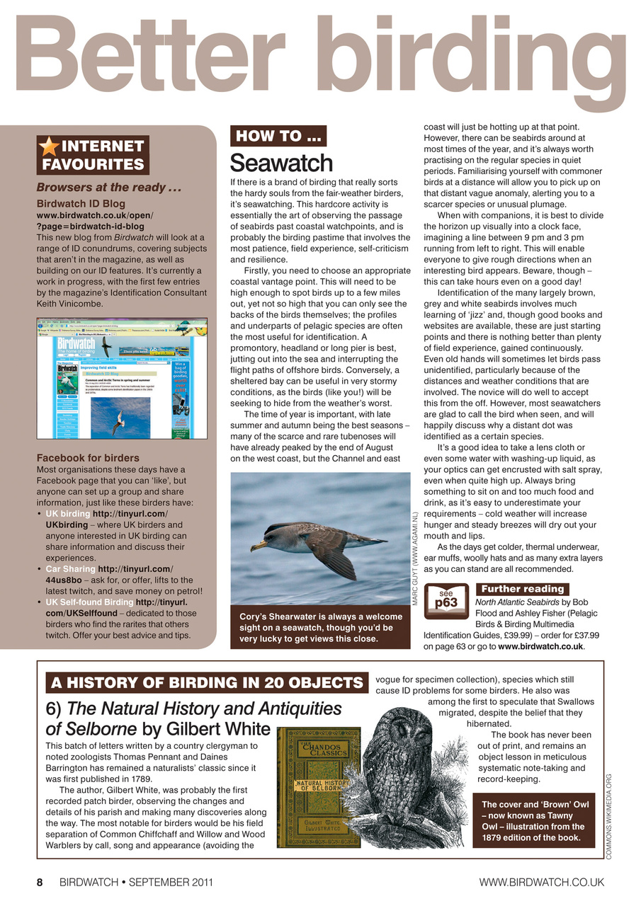 Birdwatch Magazine Preview Pages