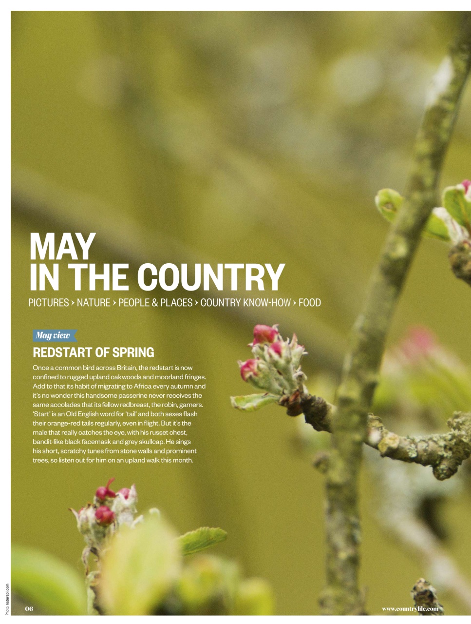 BBC Countryfile Magazine Preview Pages