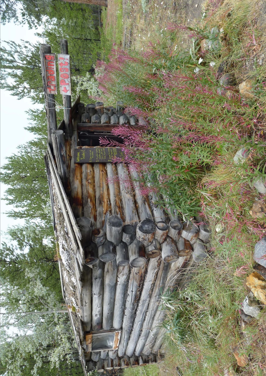 C Magazine Preview Pages