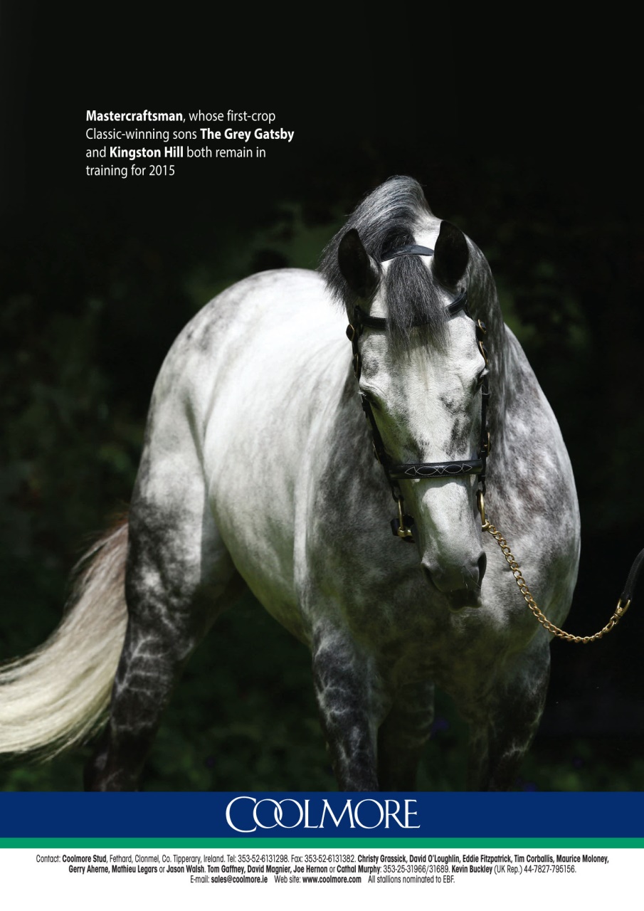 The Owner Breeder Preview Pages