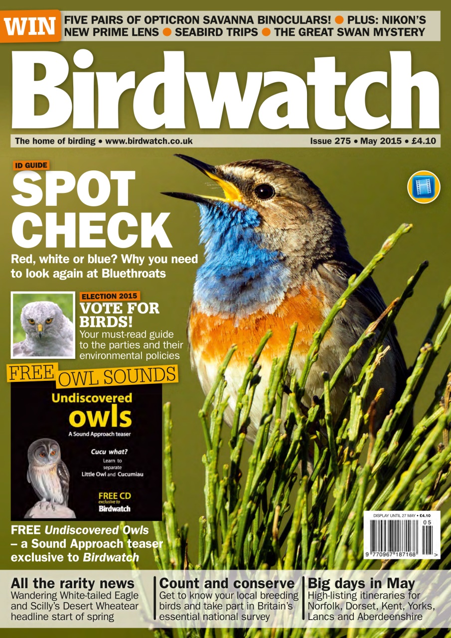 Birdwatch Magazine Preview Pages