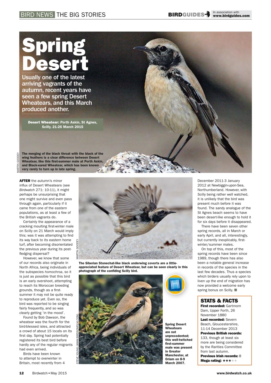 Birdwatch Magazine Preview Pages