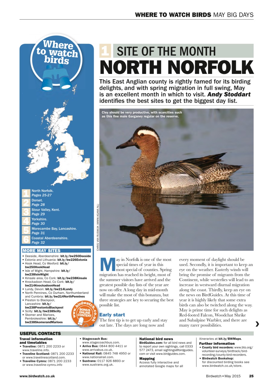 Birdwatch Magazine Preview Pages