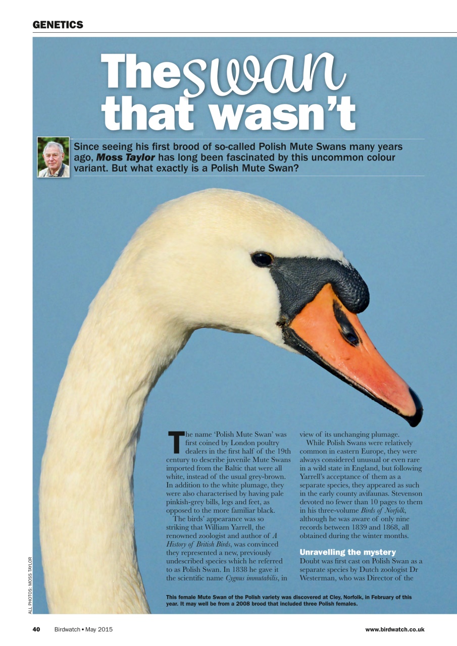 Birdwatch Magazine Preview Pages