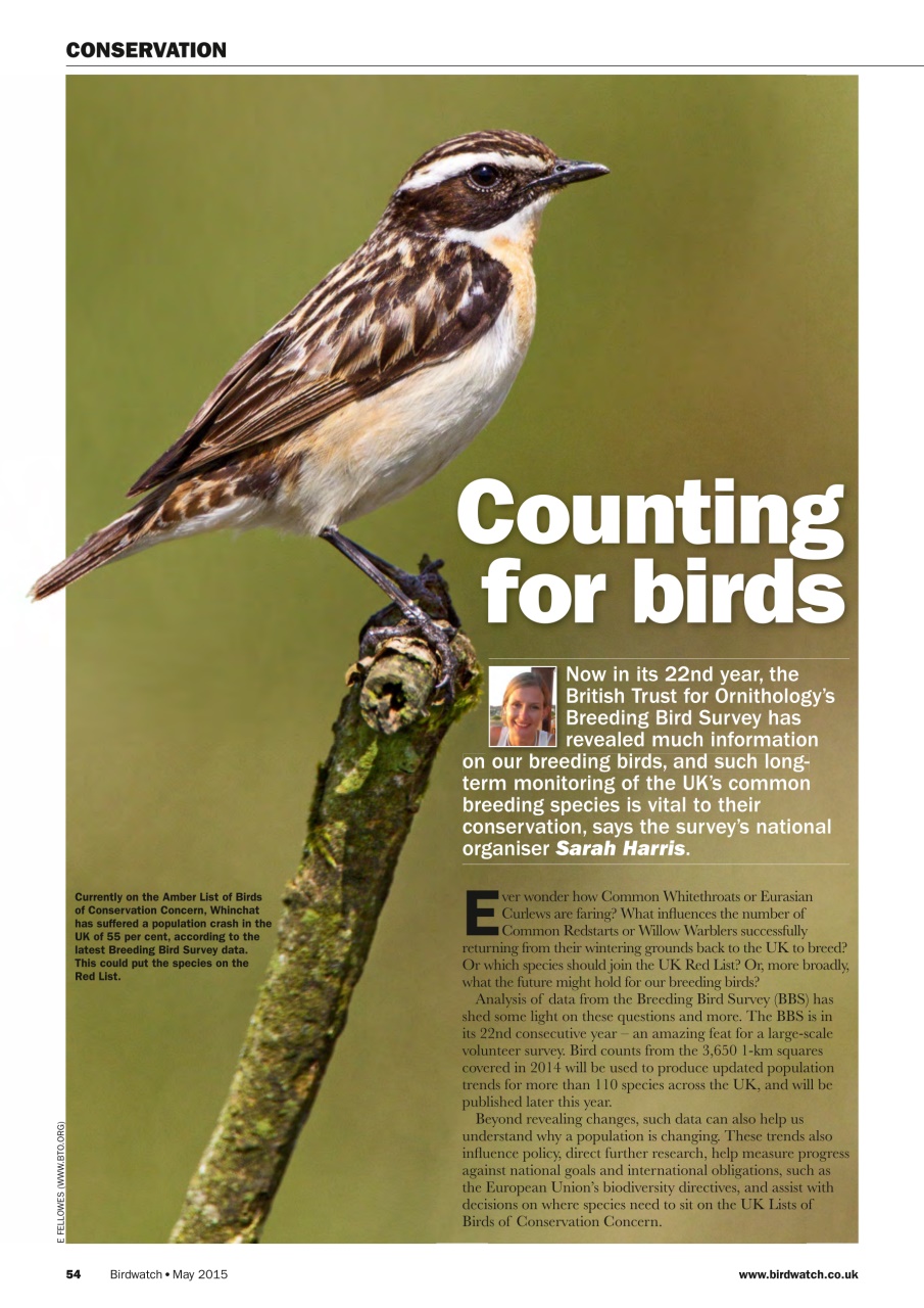 Birdwatch Magazine Preview Pages