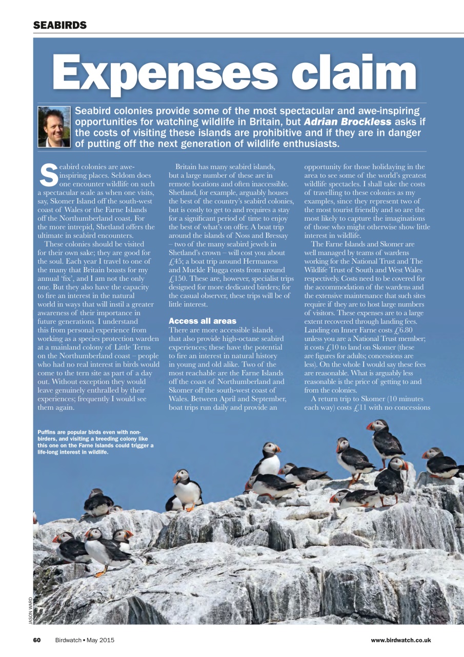 Birdwatch Magazine Preview Pages