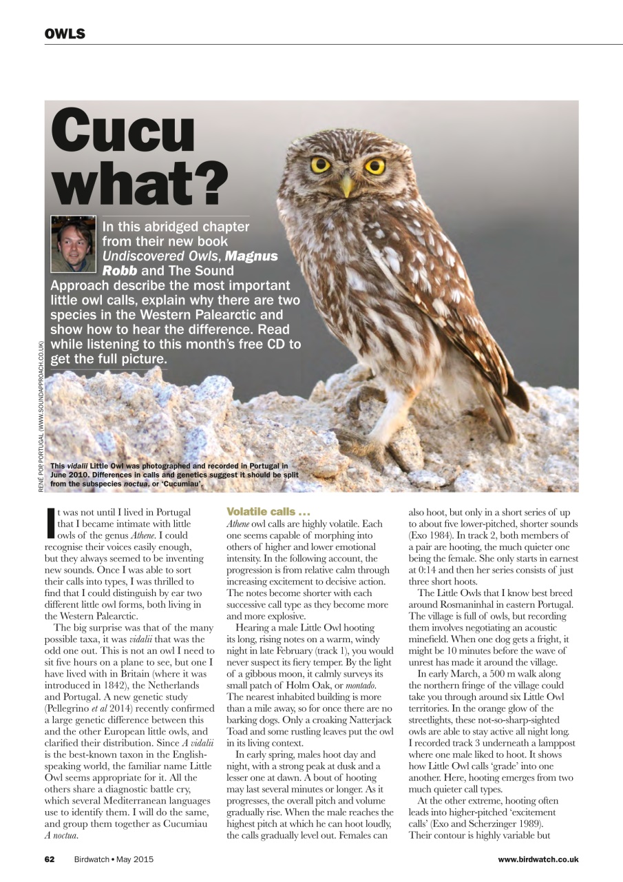Birdwatch Magazine Preview Pages