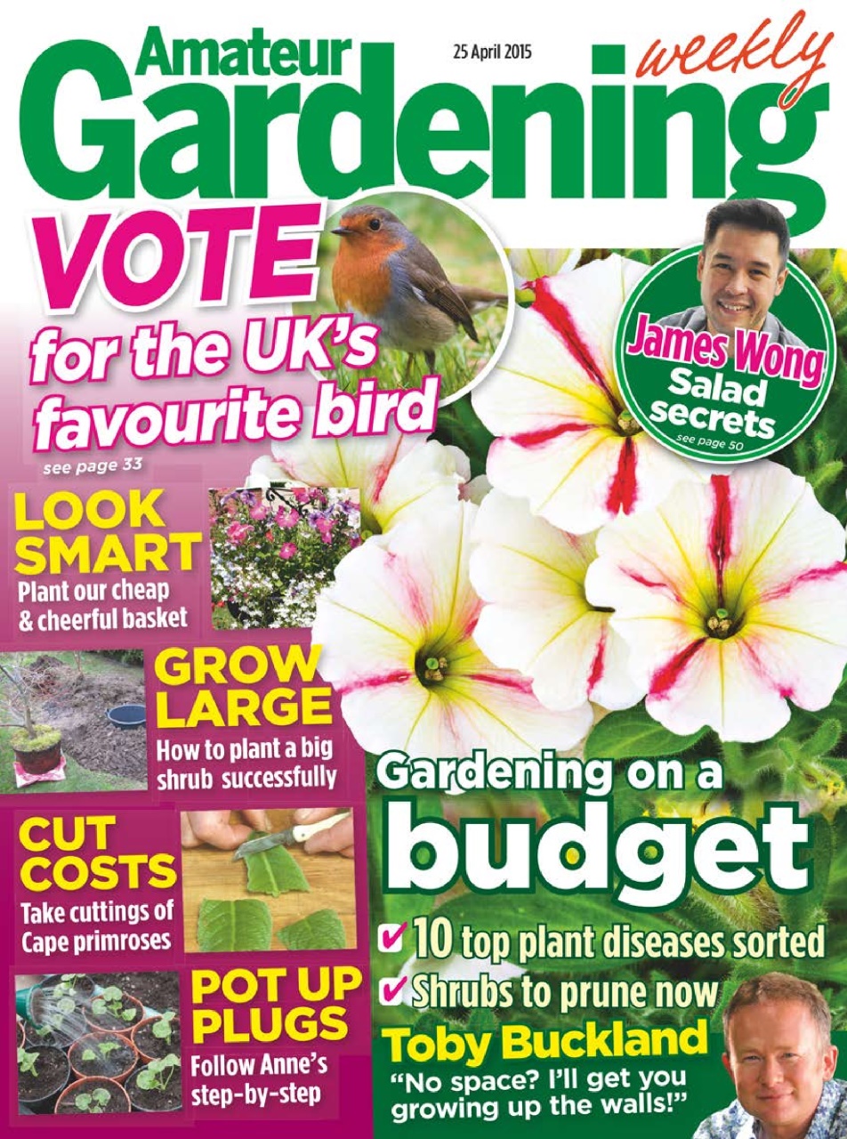 Amateur Gardening Preview Pages