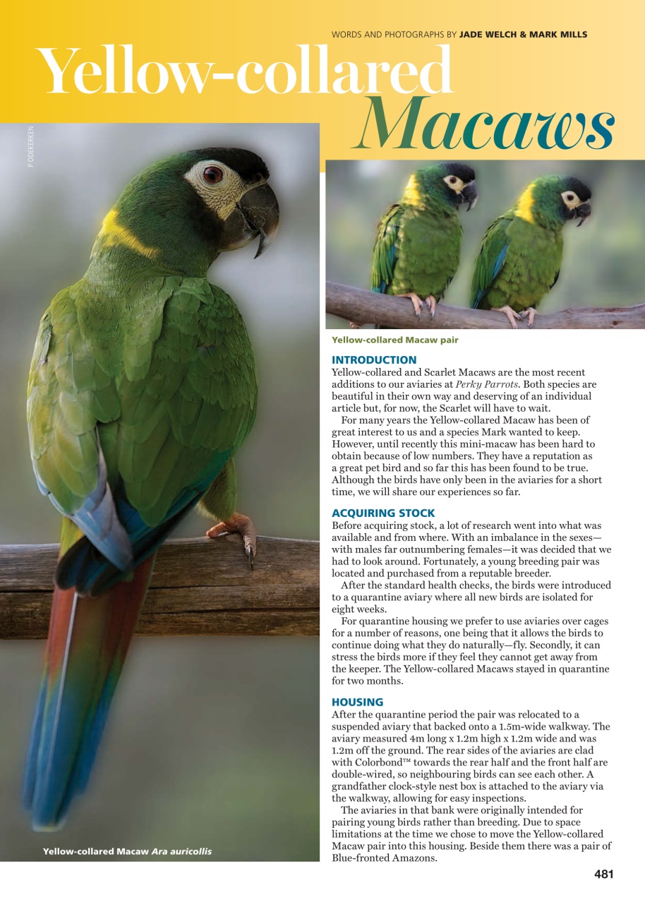 Australian Birdkeeper Magazine Preview Pages