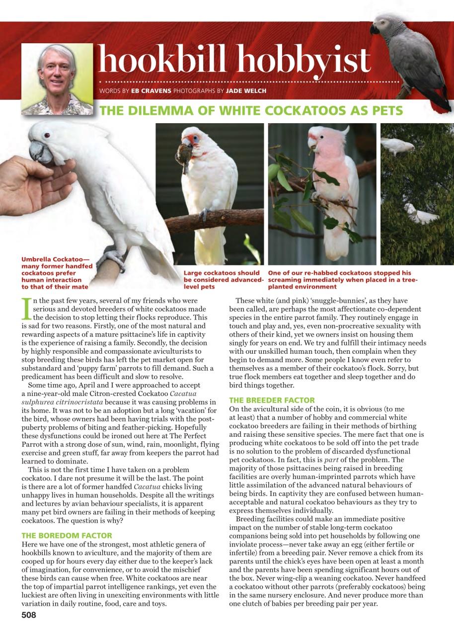 Australian Birdkeeper Magazine Preview Pages