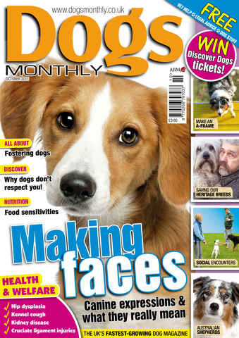 Dogs Monthly issue October2011