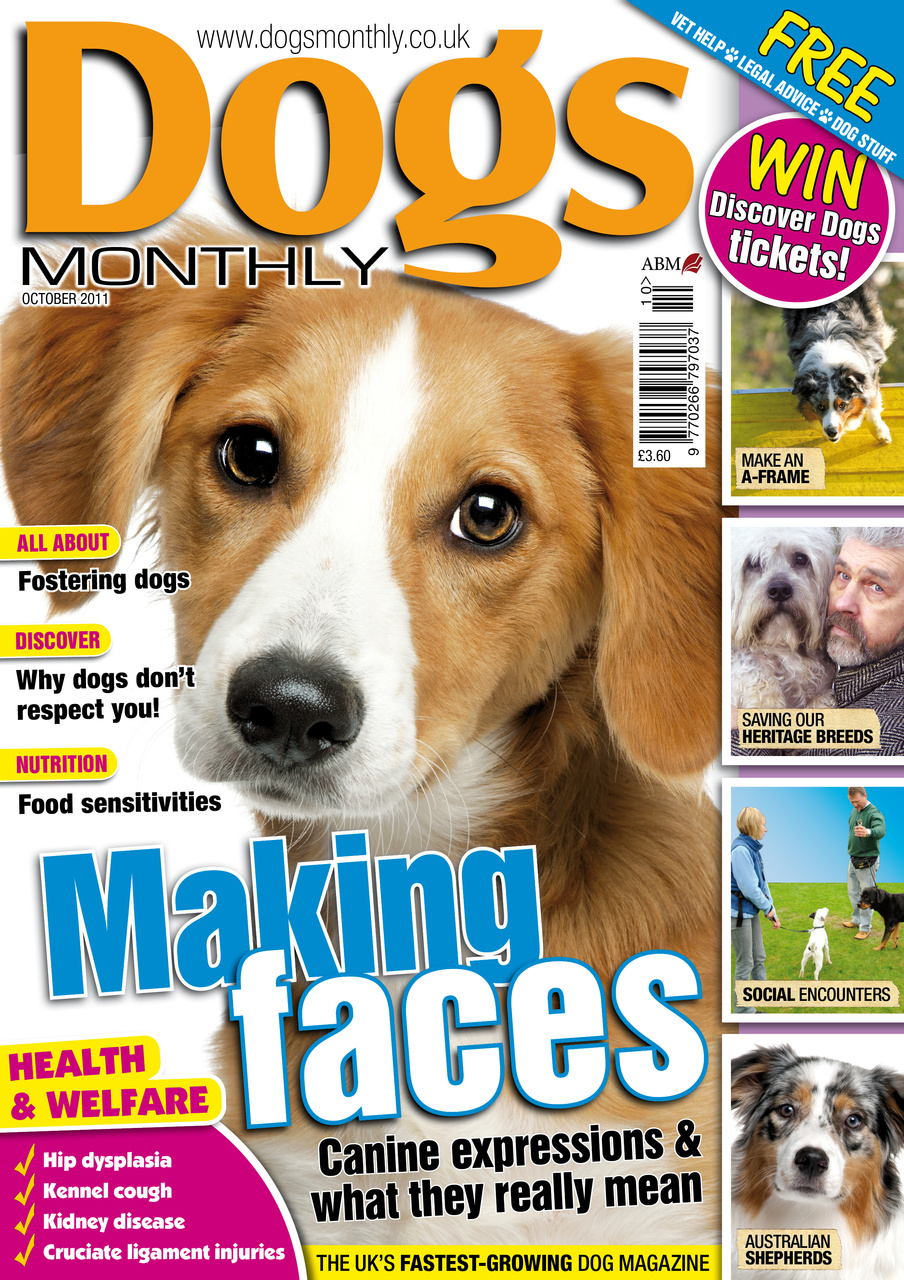 Dogs Monthly Preview Pages