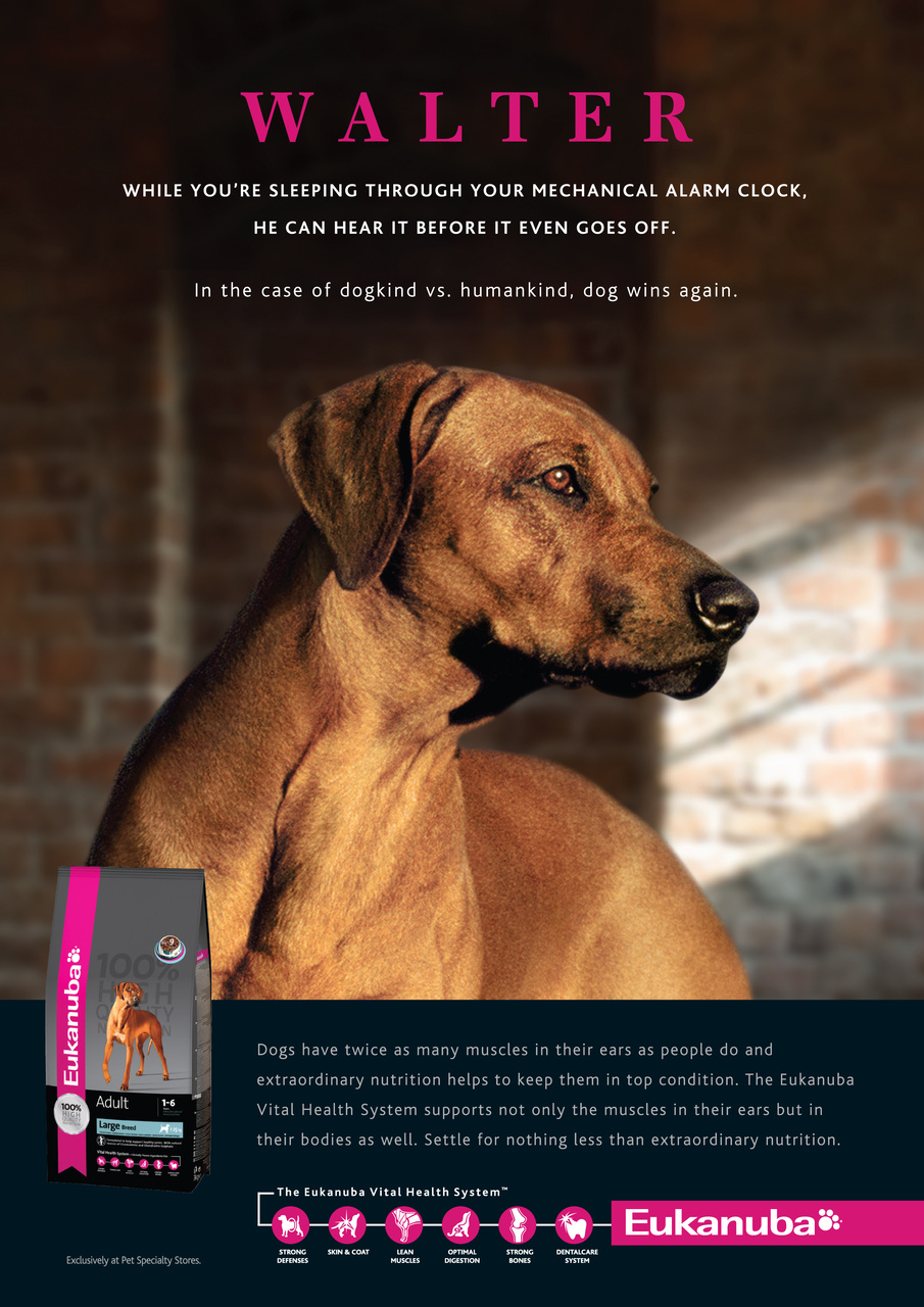 Dogs Monthly Preview Pages