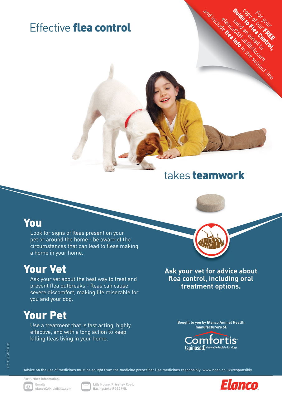 Dogs Monthly Preview Pages