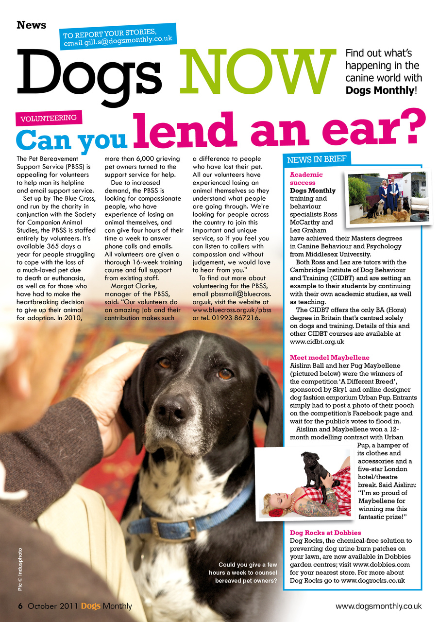 Dogs Monthly Preview Pages