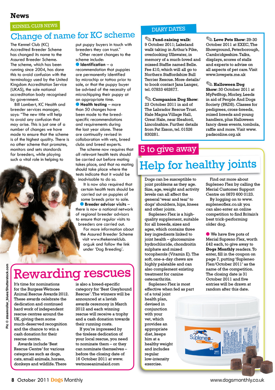 Dogs Monthly Preview Pages