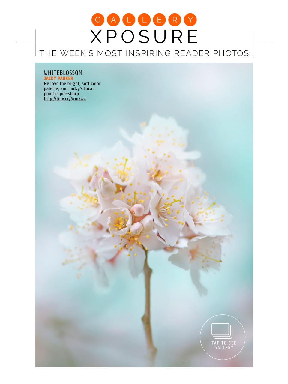 Photography Week Preview Pages