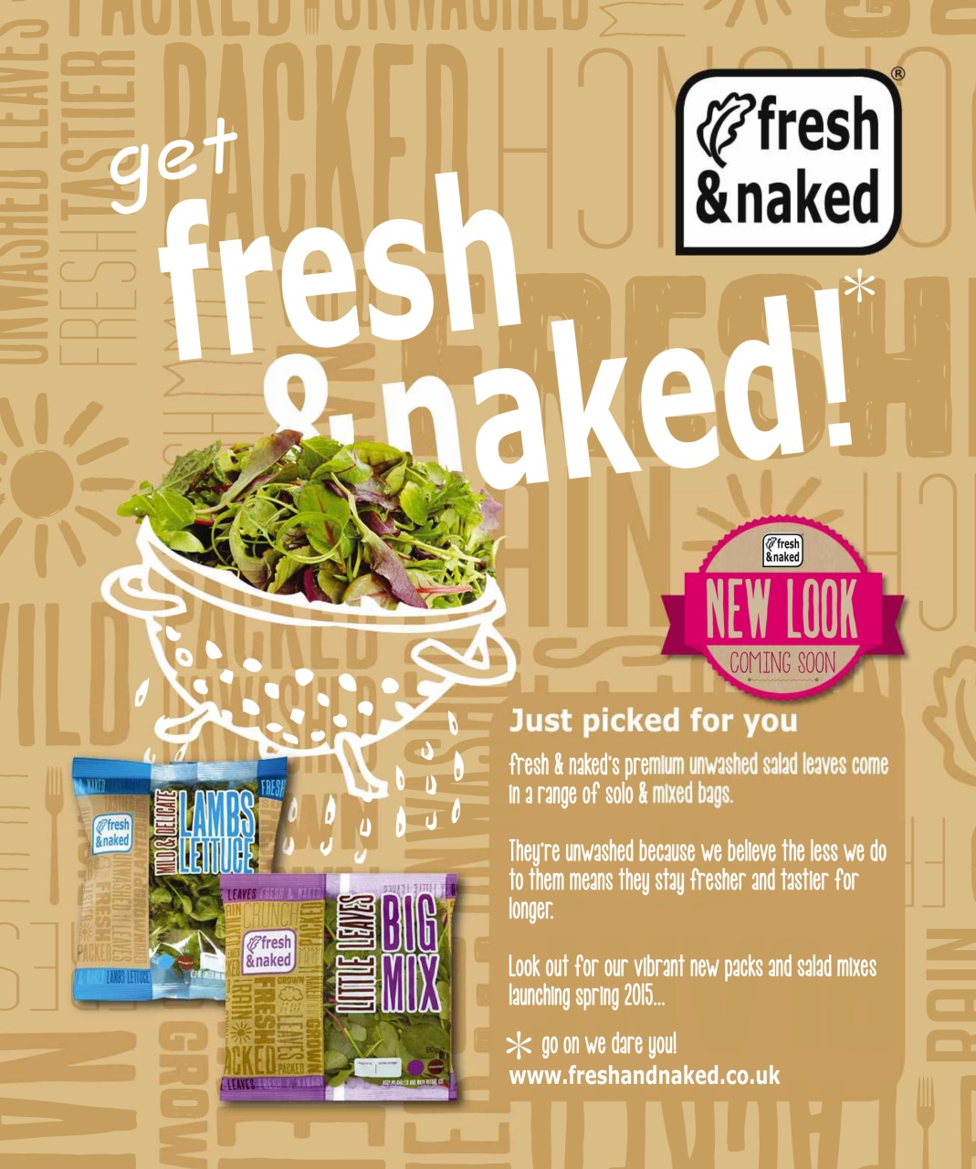 Olive Magazine Preview Pages