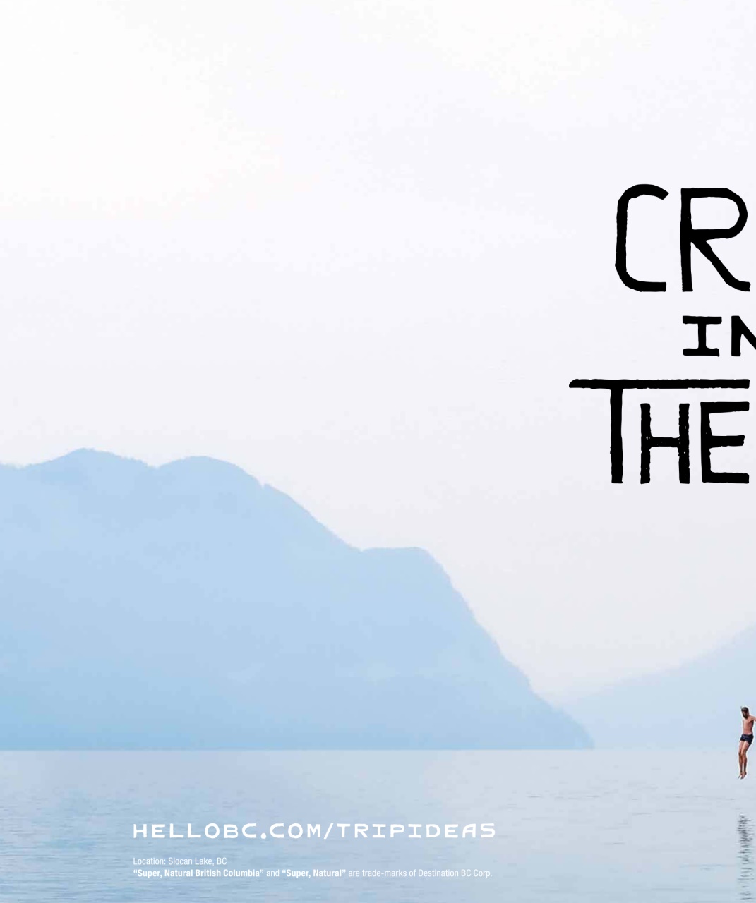 Avenue Calgary Preview Pages