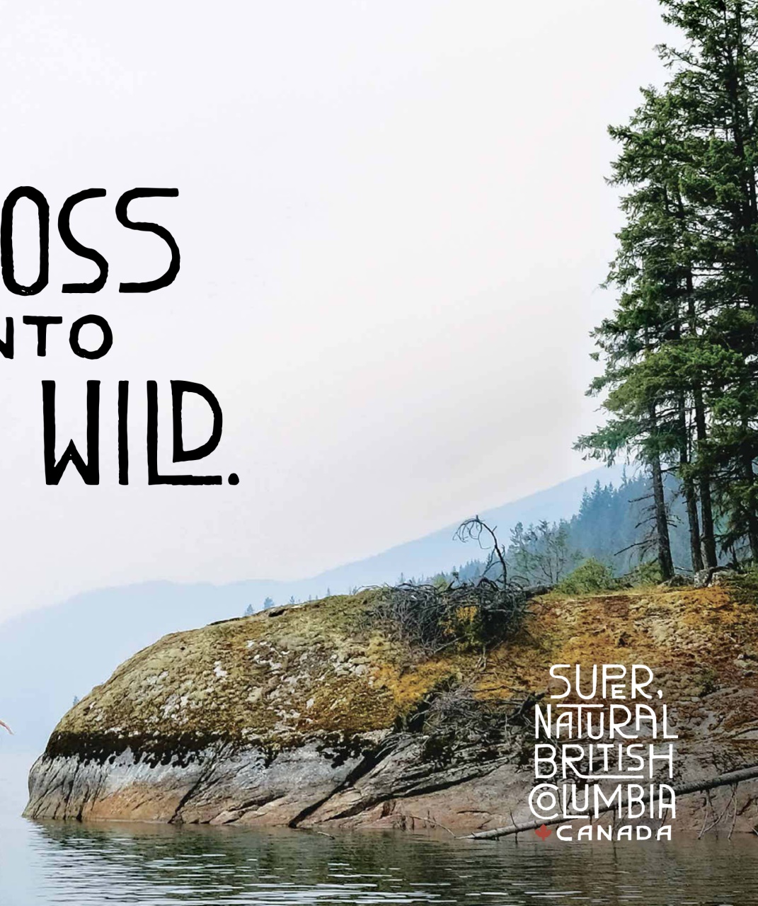 Avenue Calgary Preview Pages