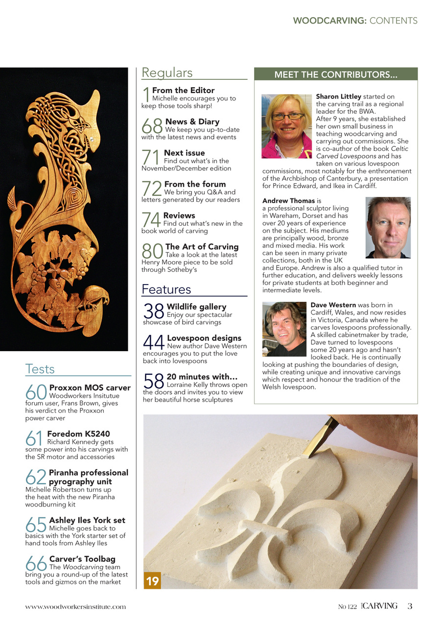 Woodcarving Preview Pages