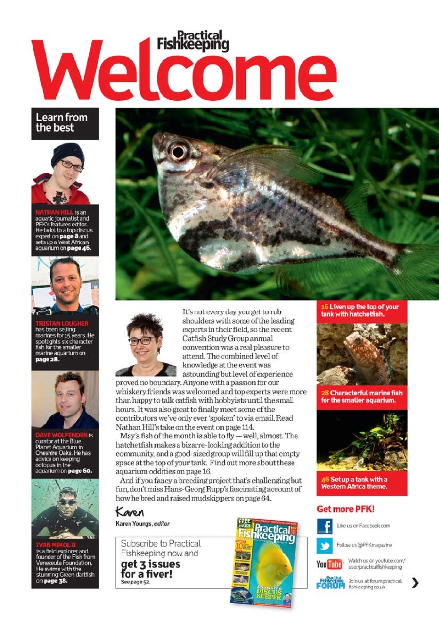 Practical Fishkeeping Preview Pages