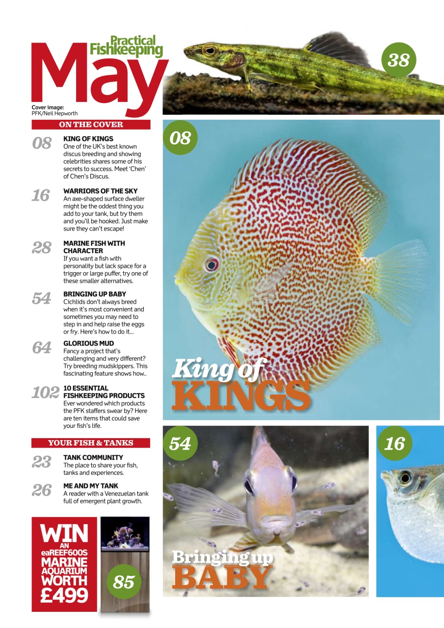 Practical Fishkeeping Preview Pages