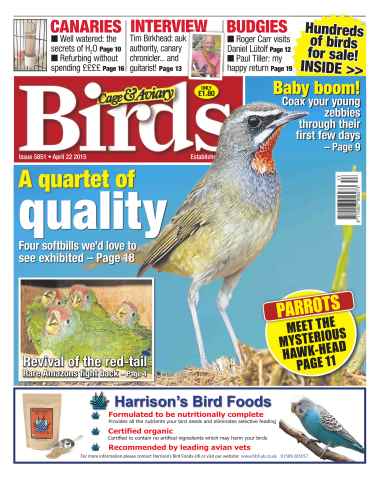 Cage & Aviary Birds issue No.5851 A Quartet of Quality
