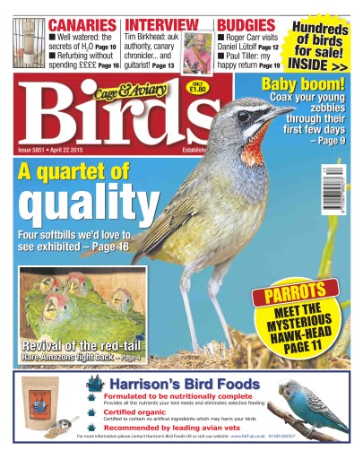 Cage & Aviary Birds issue 