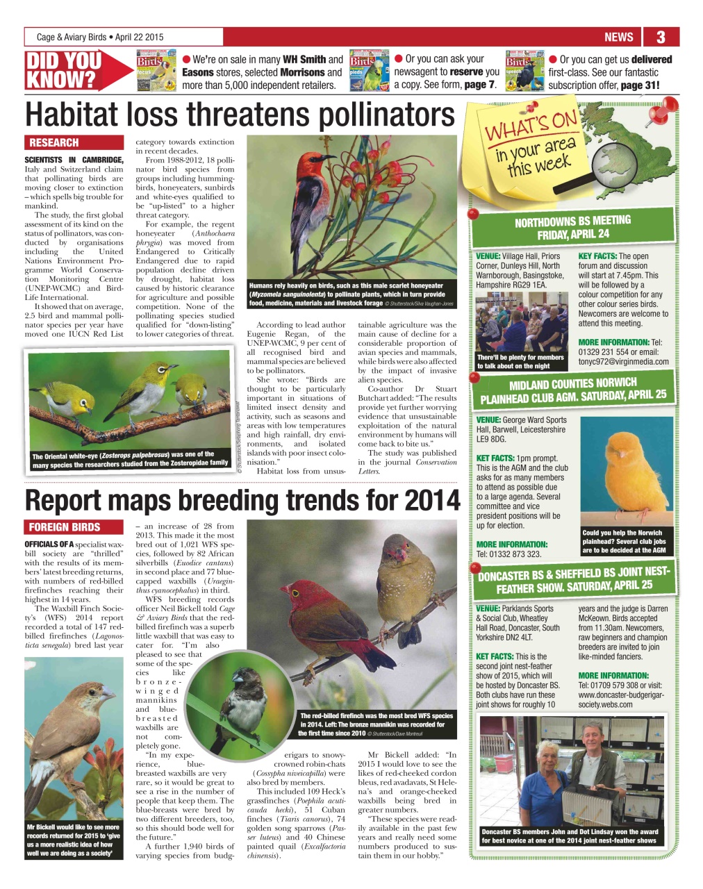 Cage & Aviary Birds Preview Pages