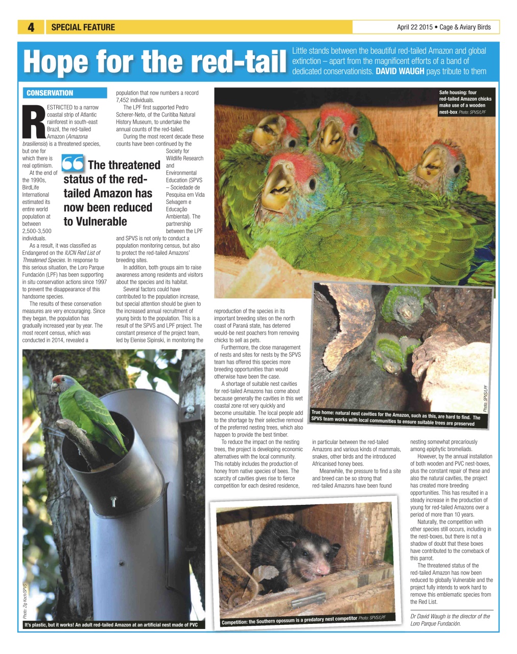 Cage & Aviary Birds Preview Pages