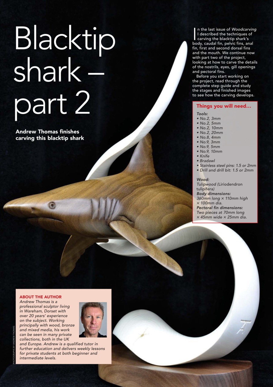 Woodcarving Preview Pages